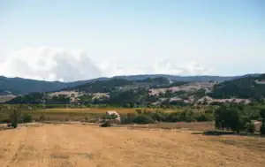 Why Spring Is the Best Time to Harden Your Home Against Wildfire