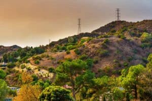 How to Prepare for a Wildfire: Protecting What Matters Most